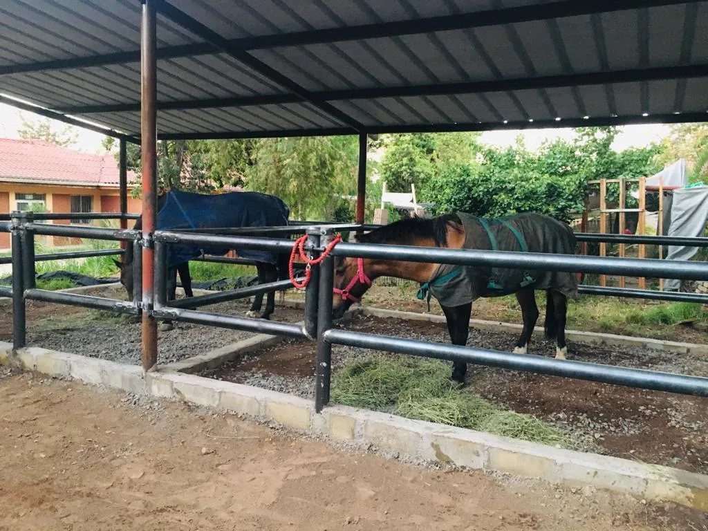 Foto de la galería del Pequeño Cottolengo
