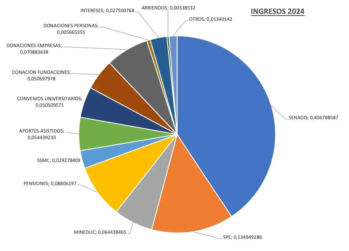 Gráfico de Ingresos 2024